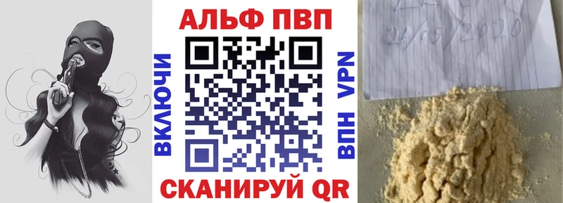 A PVP СК Новороссийск