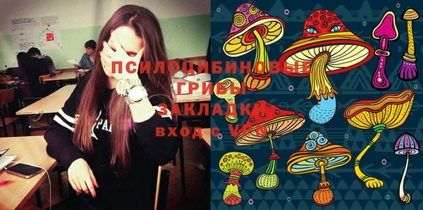 ПСИЛОЦИБИНОВЫЕ ГРИБЫ Мегион