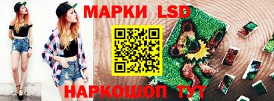 2c-b Кингисепп