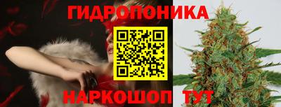 2c-b Кингисепп