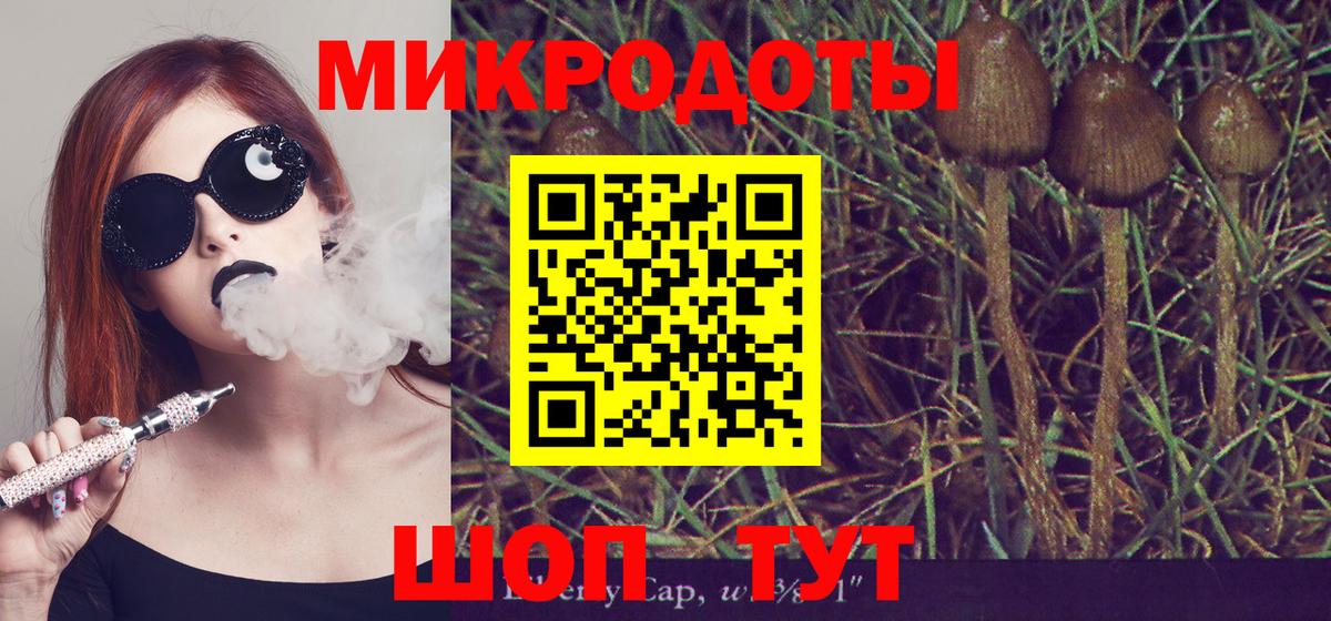 Псилоцибиновые грибы Cubensis Новороссийск
