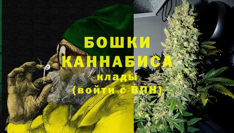 Бошки марихуана OG Kush  Новороссийск 